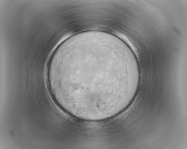 X0000115331235200912141212