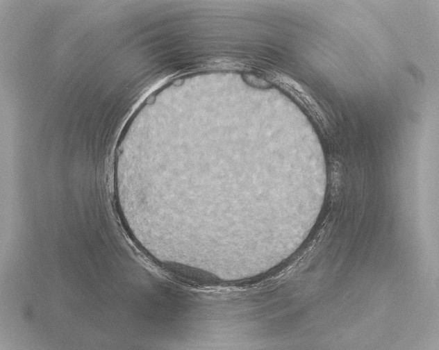 X0000115331236200912141212