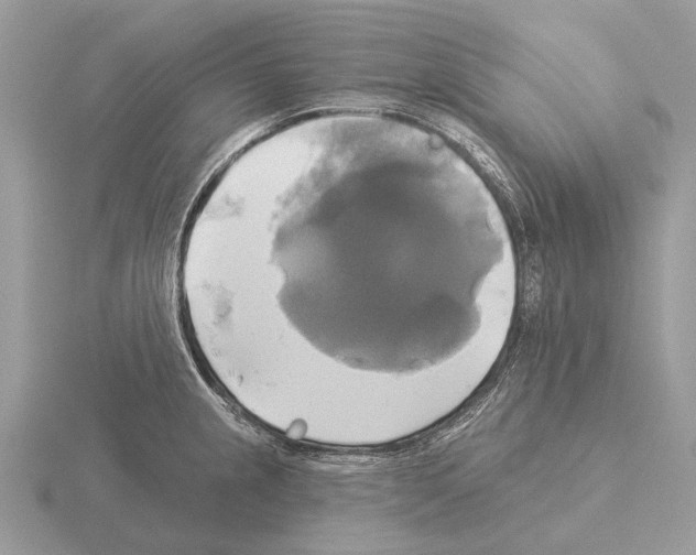 X0000115331237200912141212