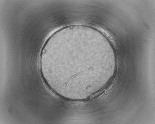 X0000115331238200912141212