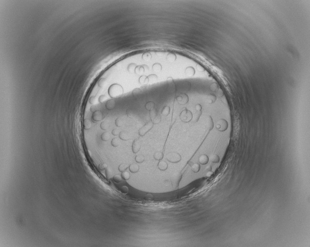 X0000115331239200912141212