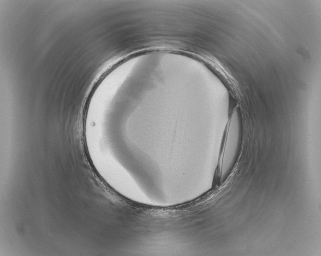 X0000115331240200912141212