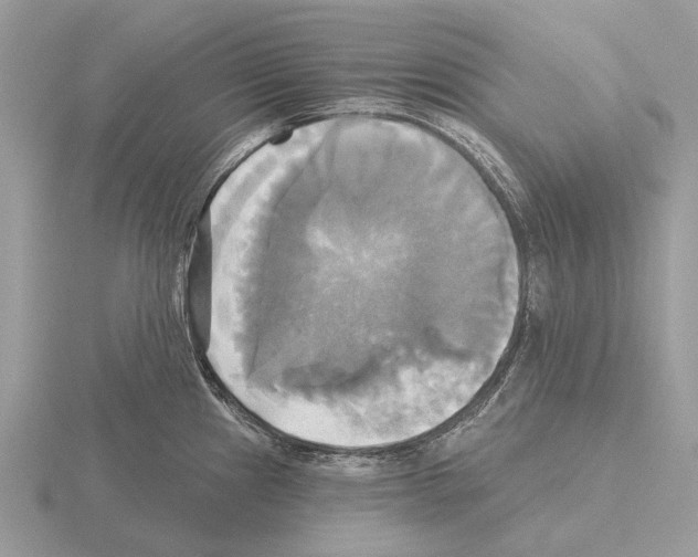 X0000115331241200912141212