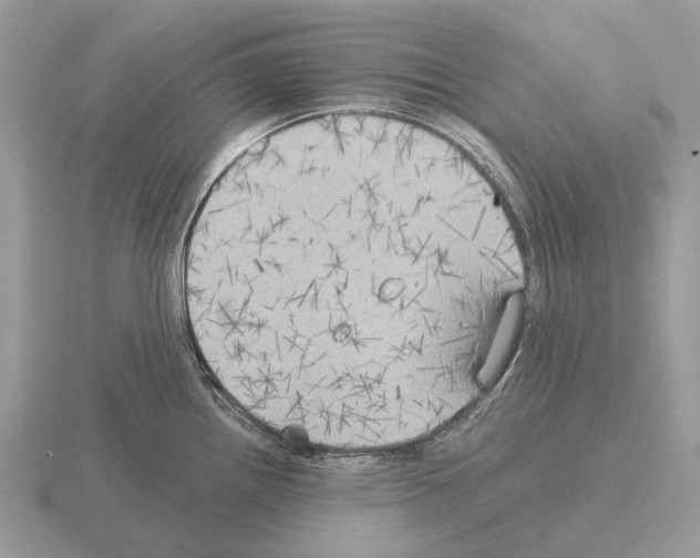 X0000115331242200912141212