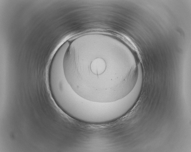 X0000115331243200912141212