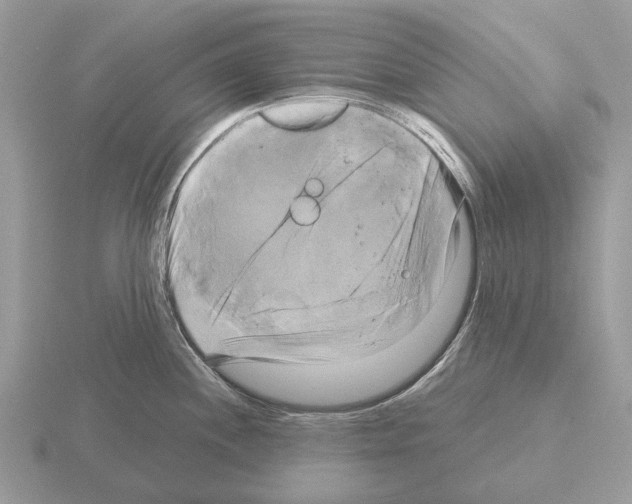 X0000115331244200912141212