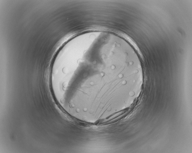 X0000115331245200912141212