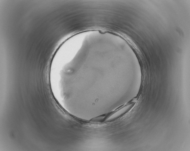 X0000115331246200912141212