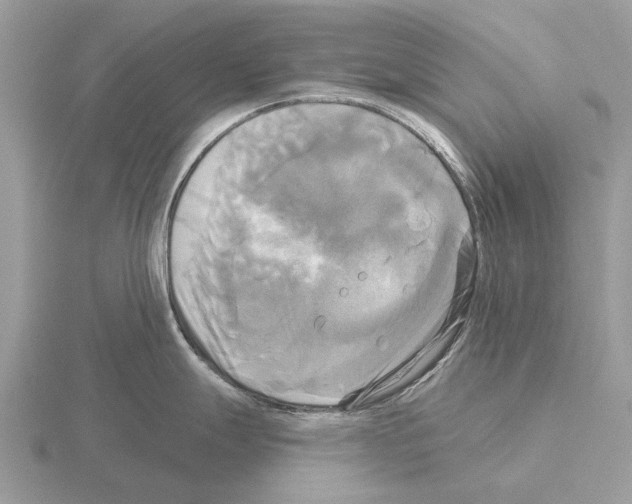 X0000115331247200912141212