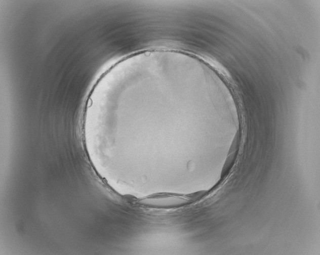 X0000115331248200912141212