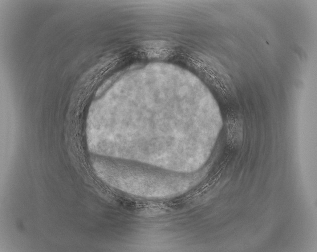 X0000115331249200912141212