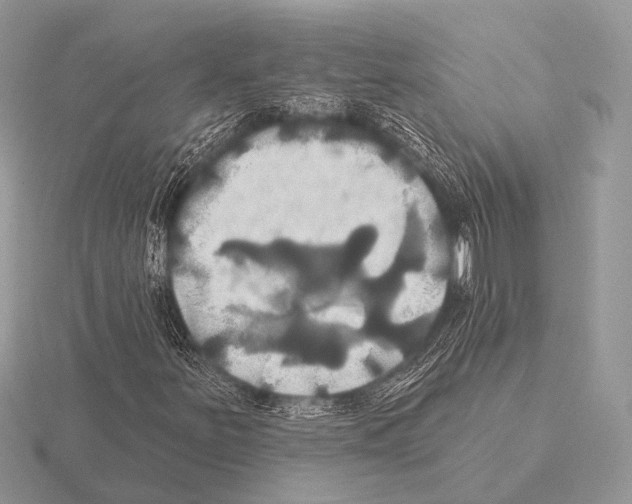 X0000115331251200912141212