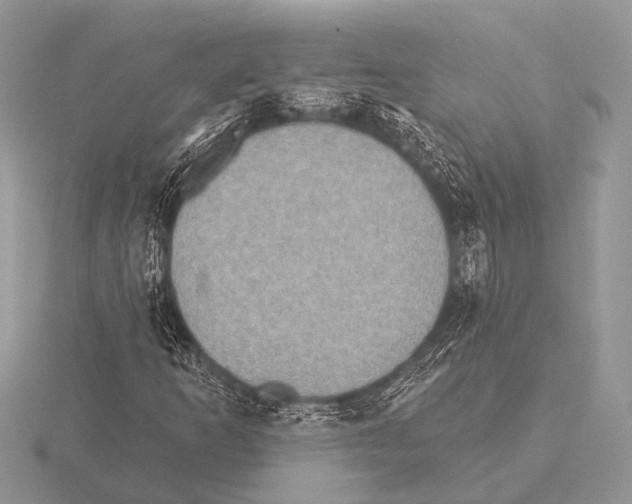 X0000115331253200912141212