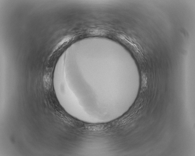 X0000115331254200912141212