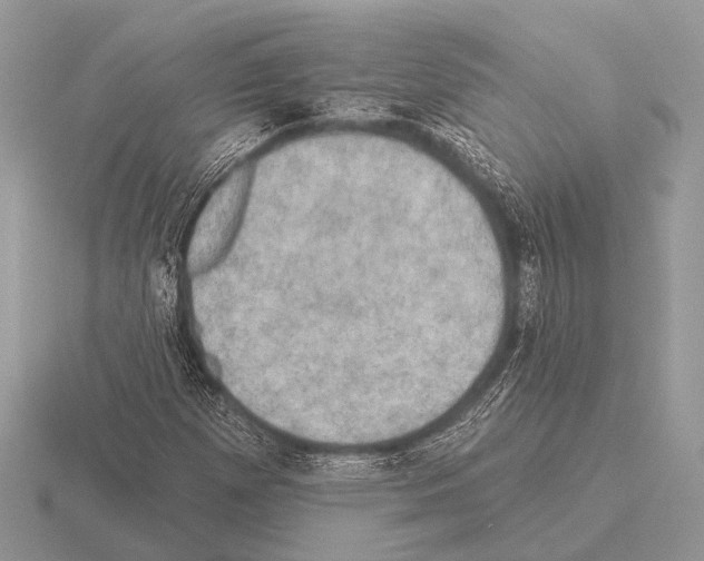 X0000115331257200912141212