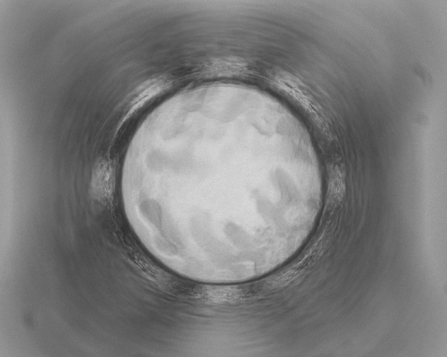 X0000115331258200912141212