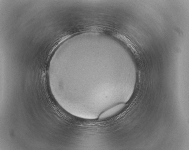 X0000115331260200912141212