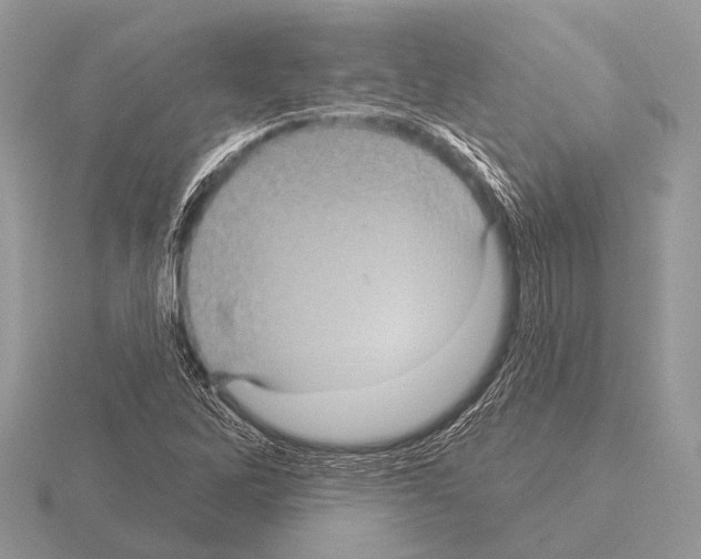 X0000115331262200912141212