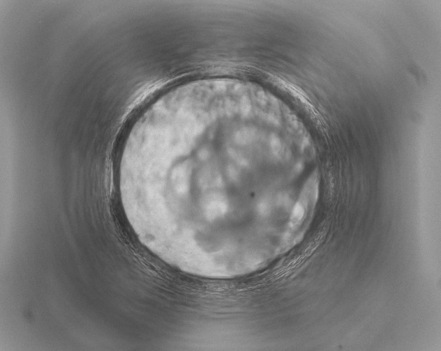 X0000115331267200912141212