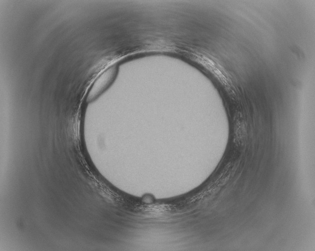 X0000115331268200912141212