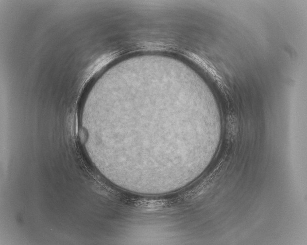 X0000115331269200912141212