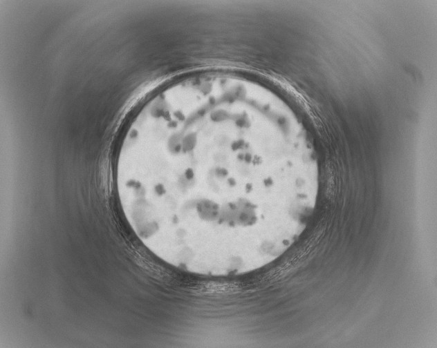 X0000115331271200912141212