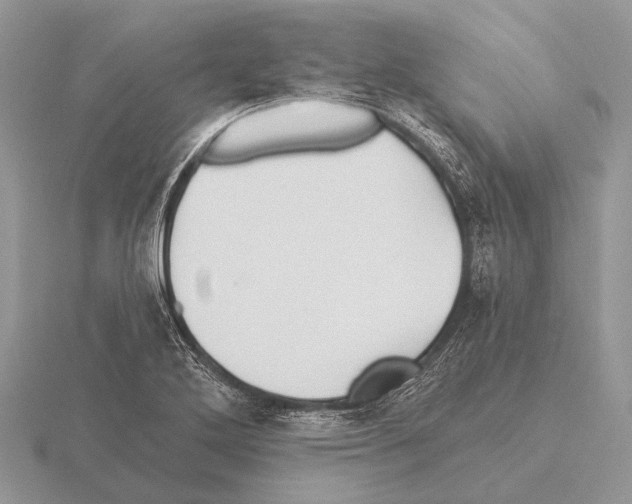 X0000115331272200912141211