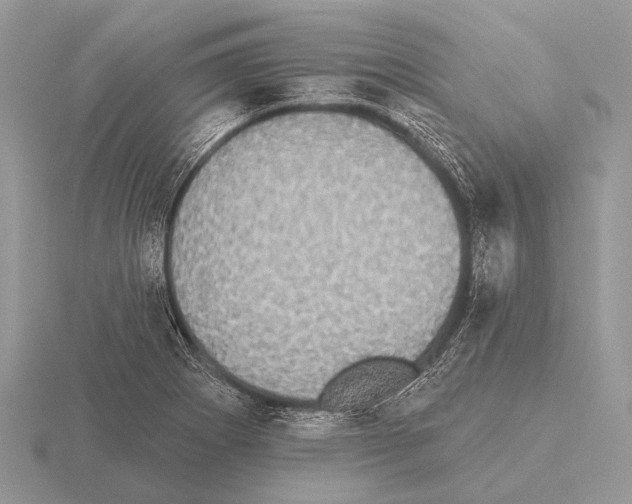 X0000115331273200912141211