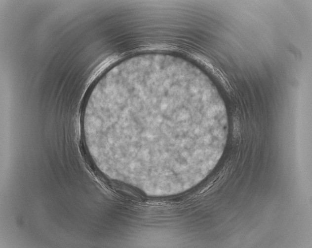 X0000115331274200912141211