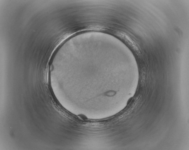 X0000115331276200912141211