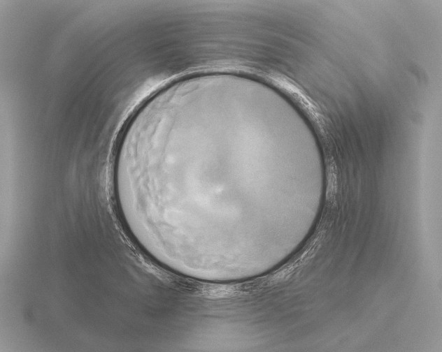 X0000115331278200912141211