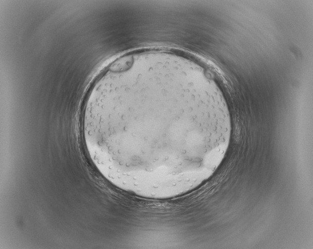 X0000115331279200912141211