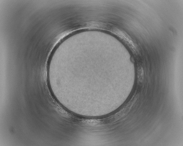 X0000115331280200912141211