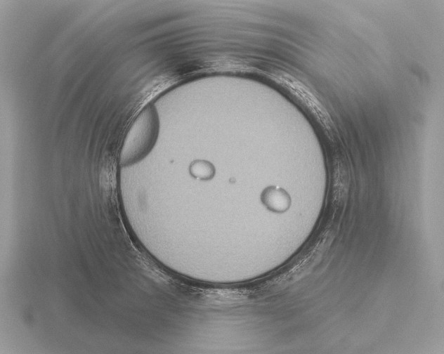 X0000115331281200912141211