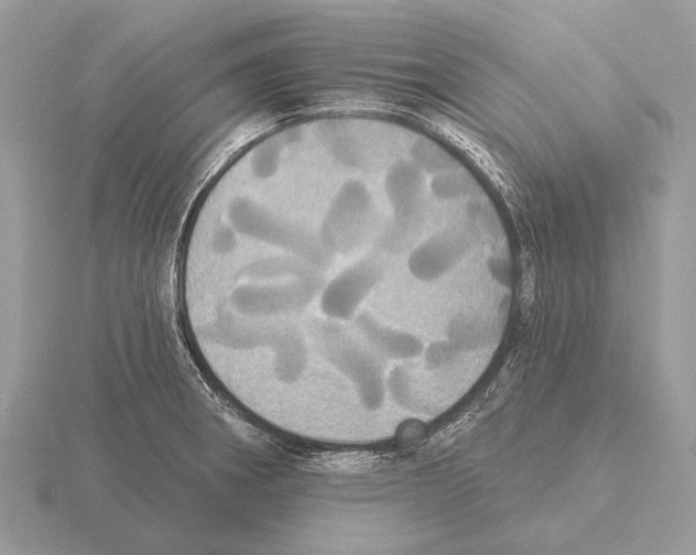 X0000115331282200912141211