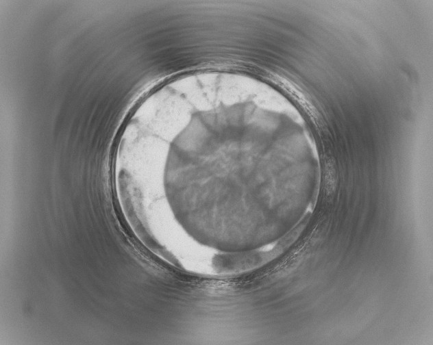 X0000115331283200912141211