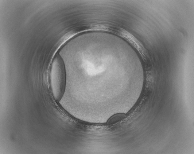 X0000115331284200912141211