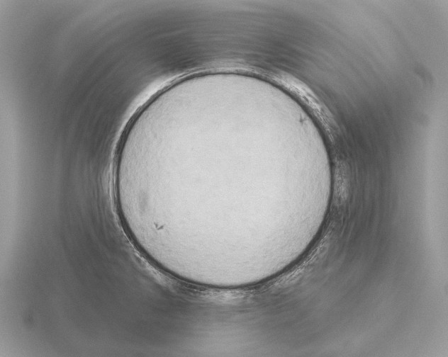 X0000115331286200912141211