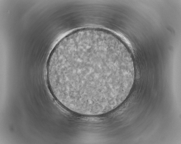 X0000115331287200912141211