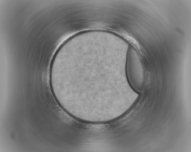 X0000115331288200912141211