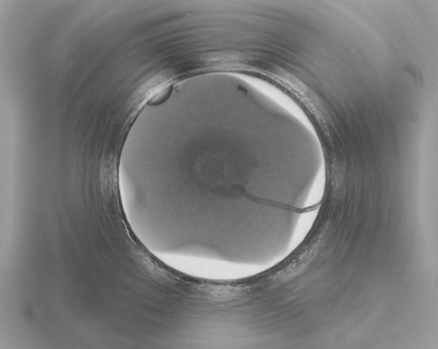 X0000115331289200912141211