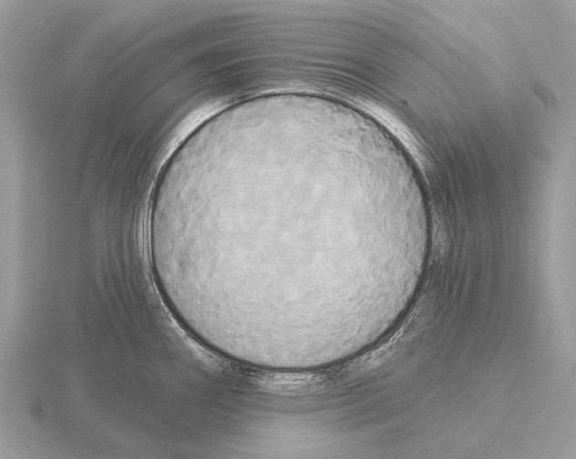 X0000115331290200912141211