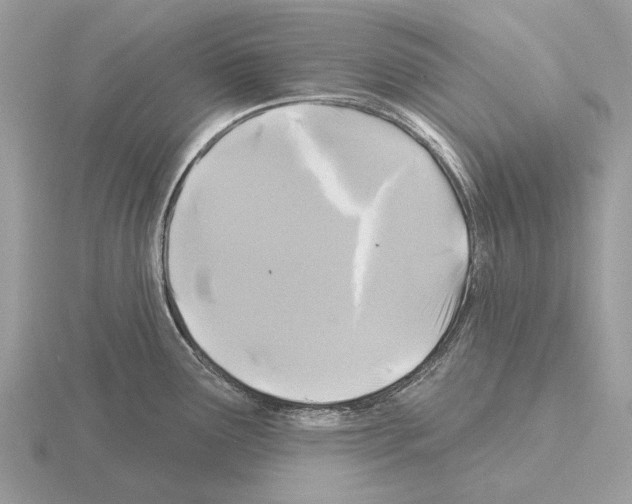 X0000115331291200912141211