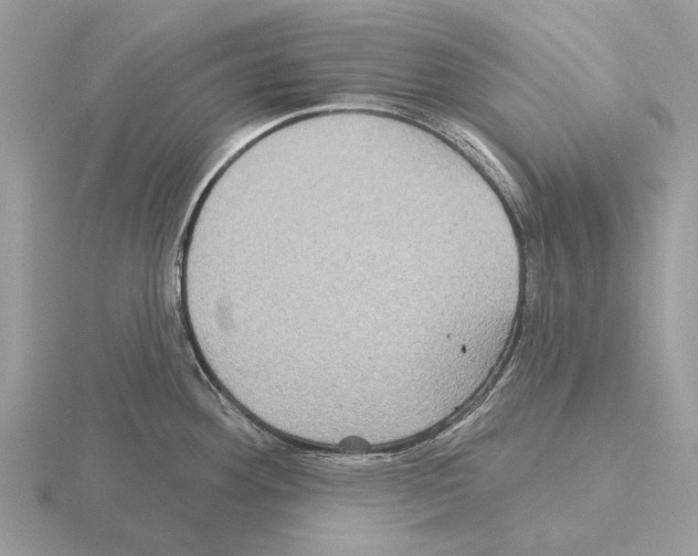 X0000115331292200912141211