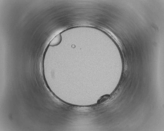 X0000115331293200912141211