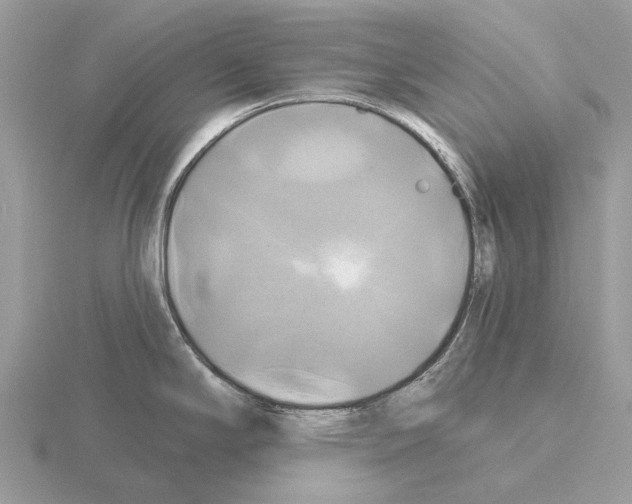 X0000115331294200912141211