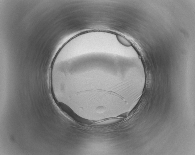 X0000115331295200912141211