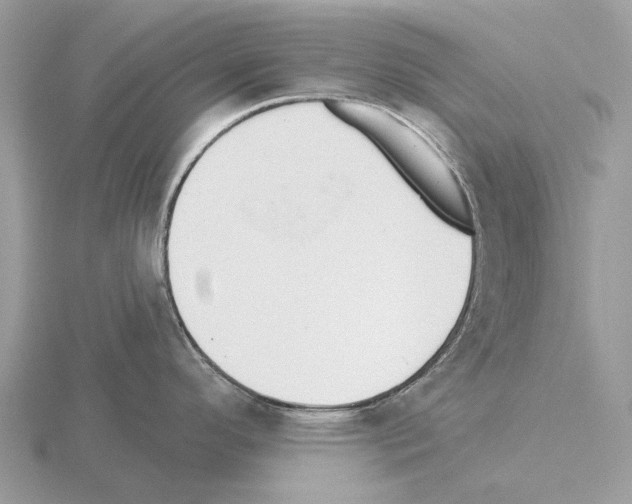 X0000115331296200912141211