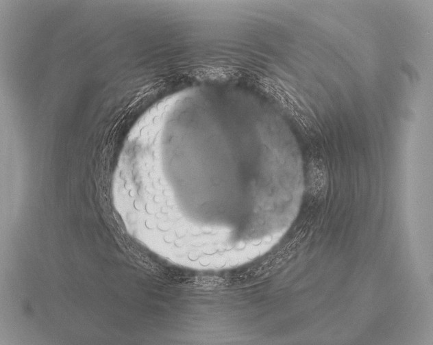 X0000115331297200912141211