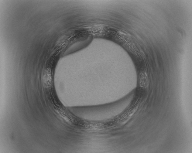 X0000115331298200912141211